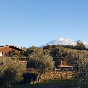Acquarossabed Bed & Breakfast Belpasso